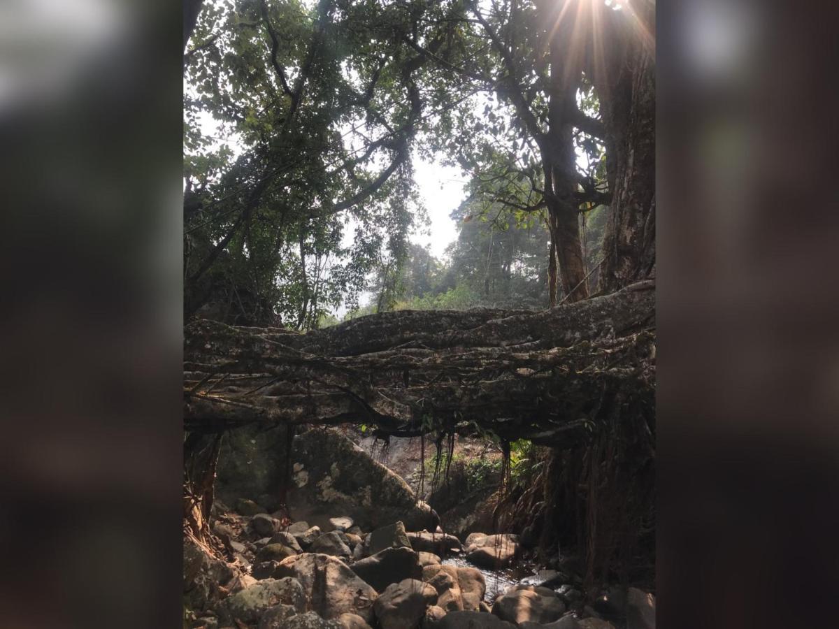 צ'ראפונג'י Living Roots Lodge מראה חיצוני תמונה