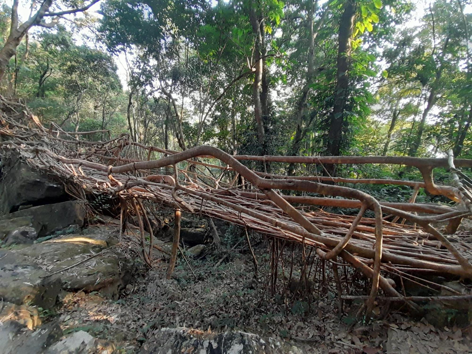 צ'ראפונג'י Living Roots Lodge מראה חיצוני תמונה